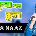 TU KUJA MAN KUJA LYRICS HINDI तू कुजा मन कुजा हिंदी में